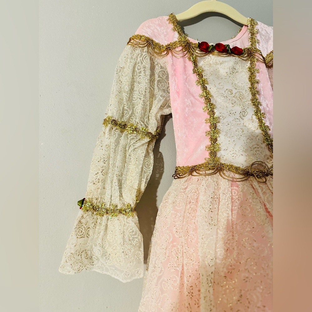 Girls Pink Princess Costume Dress with Gold Trim, Red Floral - Picture 4 of 9